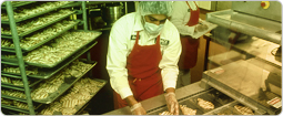 Our Services